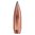 Calibro .30 (0.308") 180 gr punta morbida 100 pz/confezione