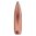 Calibro .25 (0,257") 120 gr punta morbida 100/confezione