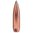 Calibro .25 (0,257") 120 gr punta morbida 100/confezione