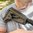 MAGPUL ACS-L calcio collassabile MIL-SPEC per carabina AR-15 ODG