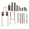 Kit per perni e molle per lower AR-15