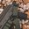 MAGPUL MS4 GEN2 DUAL QD ONE/TWO-POINT tracolla per fucile Verde Ranger