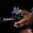 MBUS mirino anteriore ribaltabile in polimero per AR-15 Stealth Gray