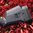 MAGPUL SGA calcio ambidestro per Mossberg 500/590 12GA Stealth Gray