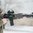 MAGPUL Guardamano MOE M-LOK lunghezza fucile per AR-15, grigio