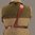 GREAT ALASKAN 1911 5" - TAN - Mano destra
