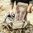 Zaino UPRANGER PACK Dry Earth