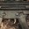 Kit selettore potenziato per SL Grip Mod e HK Poly Trigger