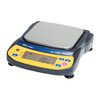 Bilancia portatile EJ-120 Serie EJ Newton