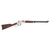 GOLDEN BOY SILVER 20 pollici 17 HMR blu 11+1 colpi