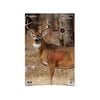 BIRCHWOOD CASEY BC PREGAME Bersaglio Whitetail 16,5 x 24 pollici, confezione da 3