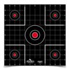 DIRTY BIRD bersaglio per azzeramento 12" confezione da 100 fogli