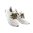 Shoe Snakes 63" - Multicam