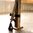 PMAG GEN3 +5 ESTENSIONE NERO