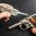 Utensile per pistola
