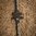 AR-15 WARHAMMER MICRO MOD2 MANIGLIA DI ARMAMENTO AMBIDESTRA BLK