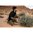 HERITAGE ROUGH RIDER TACTICAL CARBINE 22 LR canna 16" 6 colpi nero, calciatura in faggio