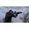 UXR ELITE RIFLE SYSTEM 223 WYLDE 16" CANNA (1) CARICATORE 30 COLPI NERO