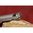 Estrattore e molla di ricambio per Ruger 10/22 LR