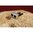 Blocco a V con viti per RUGER 10/22LR argento