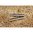 Perni trasversali per ricevitore RUGER 10/22 LR