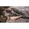 HILL COUNTRY II 48" CUSTODIA PER FUCILE VERDE/NOCE