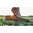 HILL COUNTRY II 54" CUSTODIA PER FUCILE VERDE/NOCE