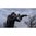 PRIMARY WEAPONS UXR ELITE RIFLE SYSTEM 223 WYLDE 14.5" BBL (1)30RD MAG BLACK