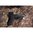 VIRIDIAN RFX44 COMPACT GREEN DOT W/ACRO/HIGH MOUNT FOR 1/3 CO-WITNESS