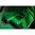 VIRIDIAN C5L GREEN LASER SIGHT W/WEAPON LIGHT BLACK