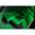 VIRIDIAN C5L MICRO GREEN LASER SIGHT W/550 LUMEN WEAPON LIGHT FDE