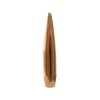 CALIBRO .30 (0,308") 200 GR PALLA HOLLOW POINT BT - CONFEZIONE DA 100