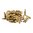 6.5 CRDMR bossoli in ottone per innesco piccolo 500
